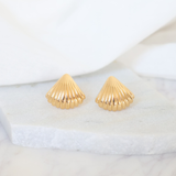 Small Shell Earrings