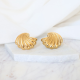 Shell Earrings