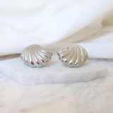 Shell Earrings