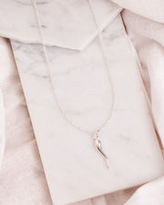Italian Horn Necklace
