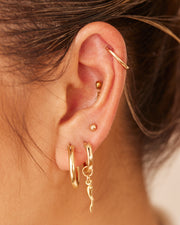 Italian Horn Hoops