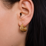 The Ripple Hoops