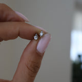 Diamonte Dot Screw Back Studs