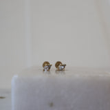Diamonte Dot Screw Back Studs