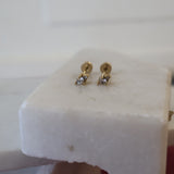 Diamonte Dot Screw Back Studs