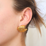 Shell Earrings