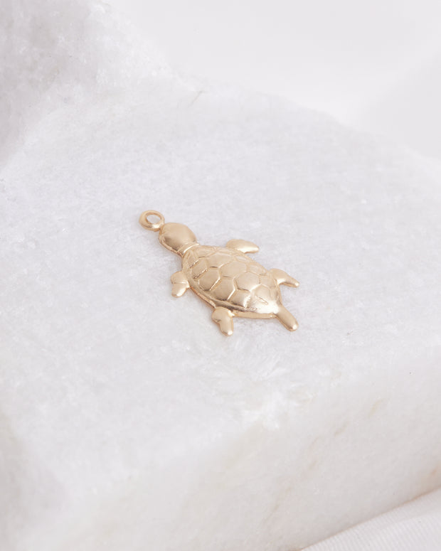 Turtle Individual Charm