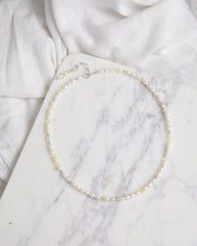 The Luca Bundle