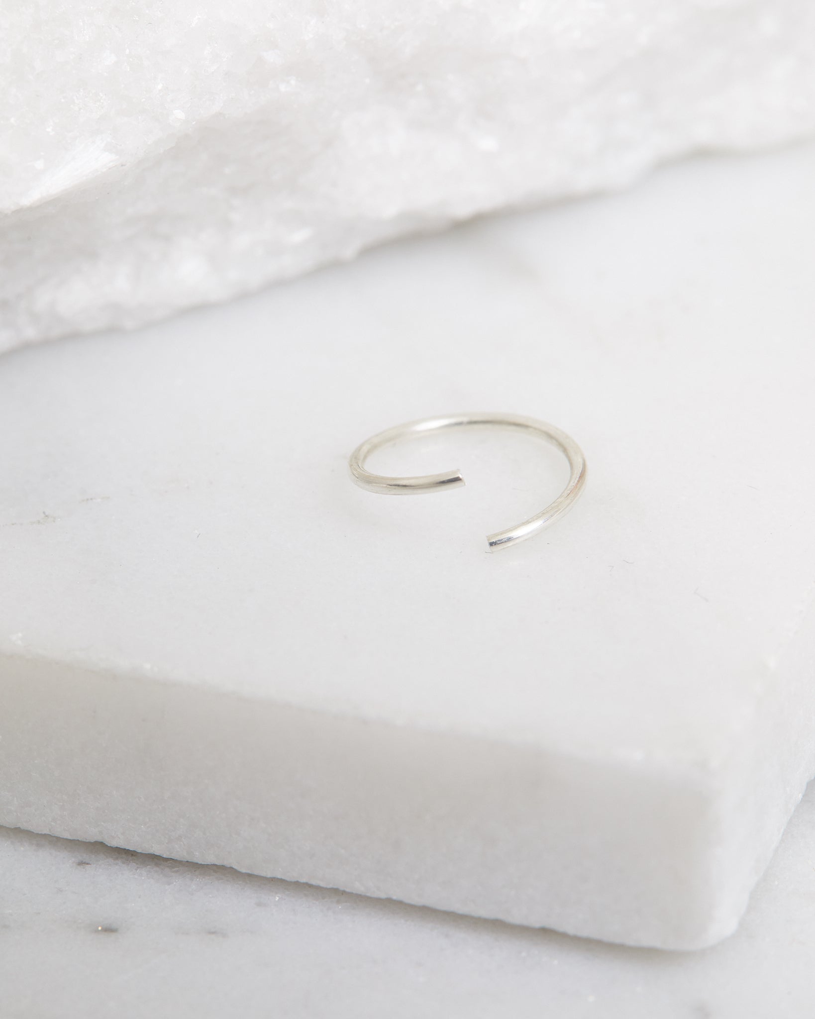 Cartilage/Nose Hoop