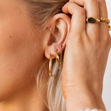 Single Maxi Double Stud