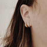 Cartilage/Nose Hoop