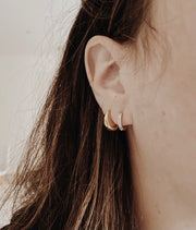 Cartilage/Nose Hoop