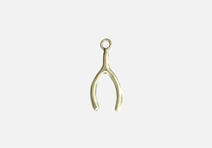 Wishbone Individual Charm